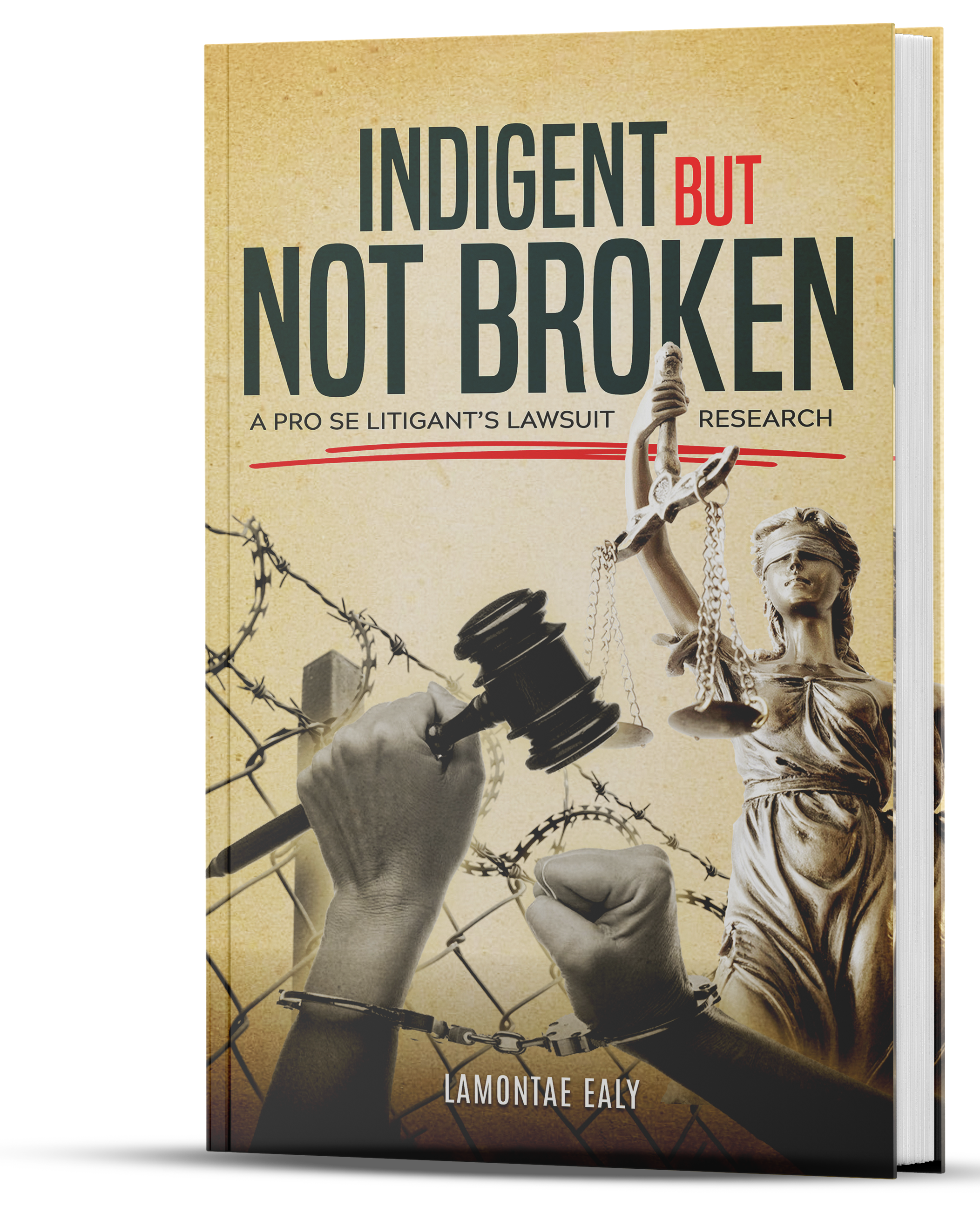 Book cover 3 created by the Book Publication Services design and illustrations team